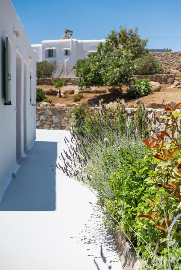 Dioni Mykonos * Paraga (Mykonos)